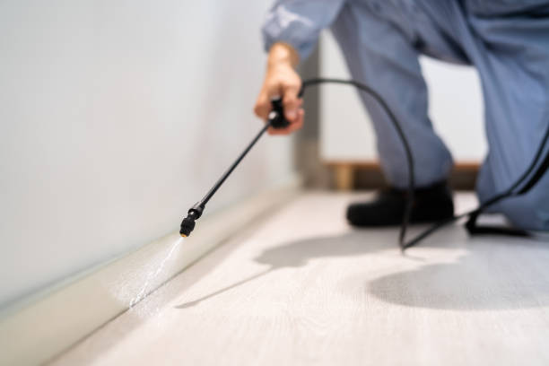 Licensed Fumigation Services service in Timonium, MD - Nex Pest Control