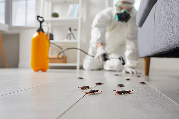 Trusted Cockroach Control service in Timonium, MD - Nex Pest Control