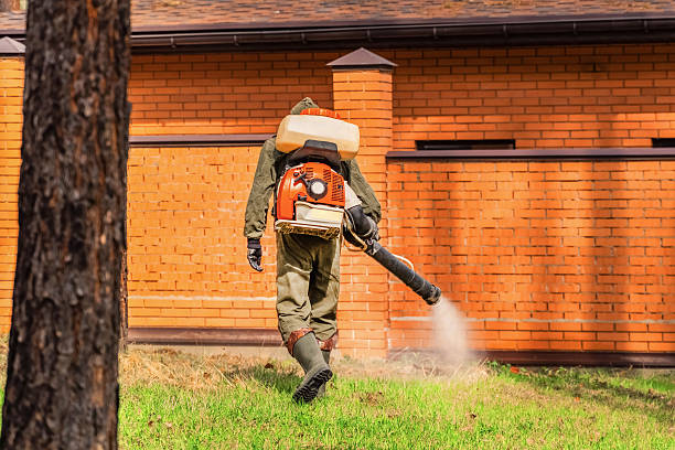 Trusted Emergency Pest Control service in Timonium, MD - Nex Pest Control